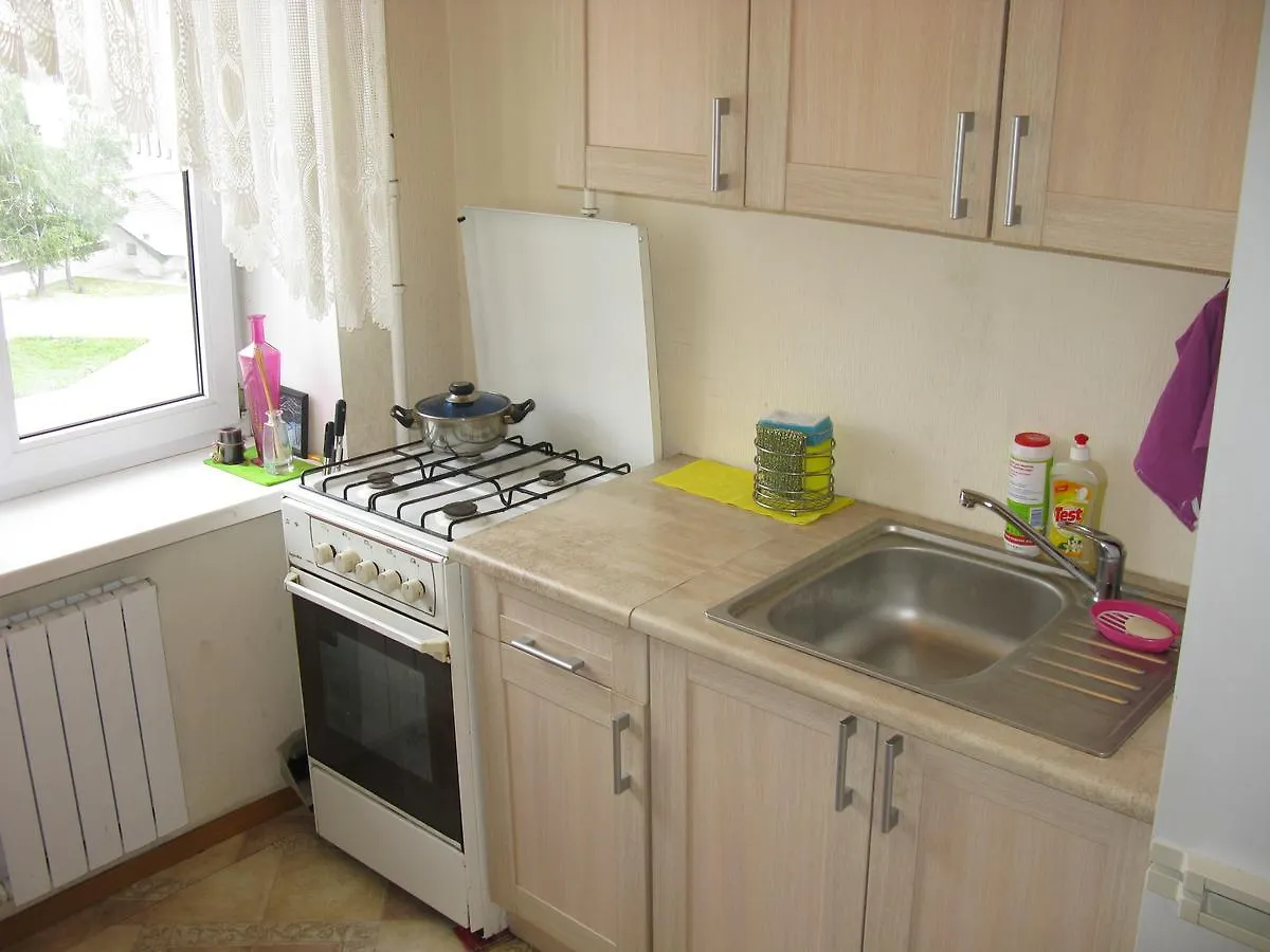 Квартира По Улице Большая Васильковская, 114 Kiev Daire